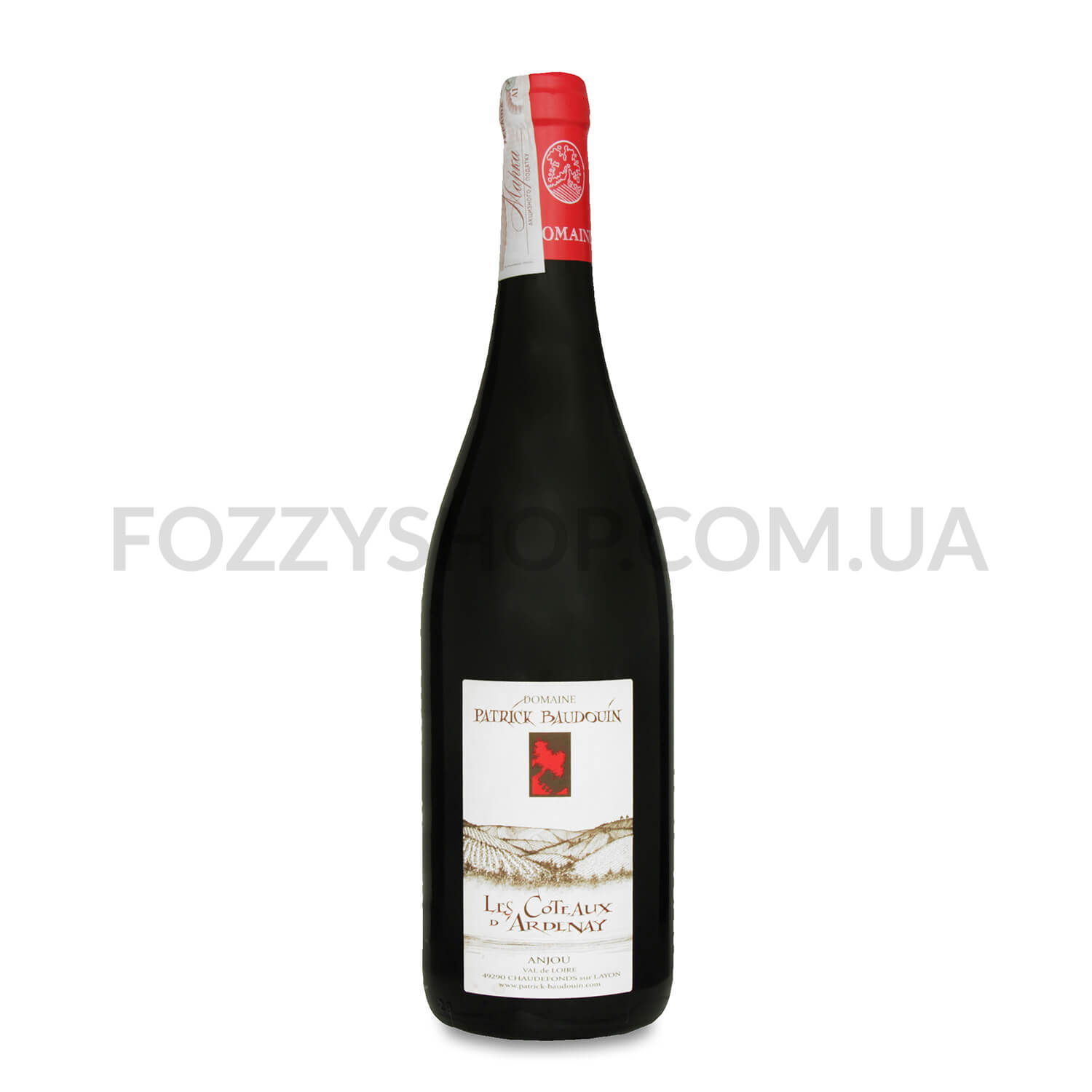 Вино Patrick Baudouin Anjou Rg Les CotD’Ardenay 15