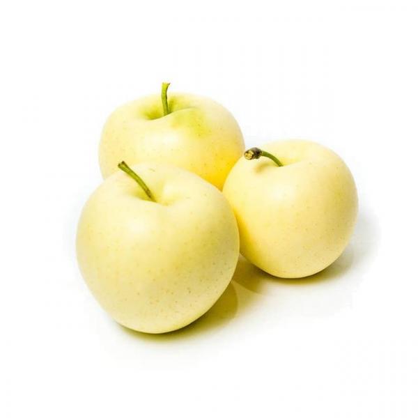 Опис вирощування білого наливу яблука