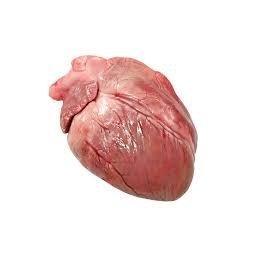Серце свиняче