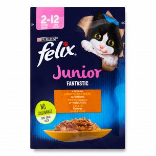 Корм для котів Felix Fantastic Junior курка в желе