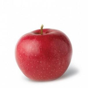 Яблуко Глостер